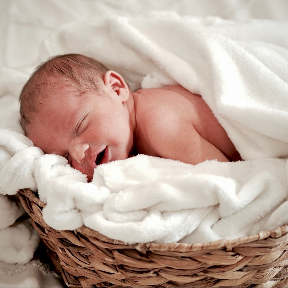 Meet your Posher, Raelee - Picture 6 of 16